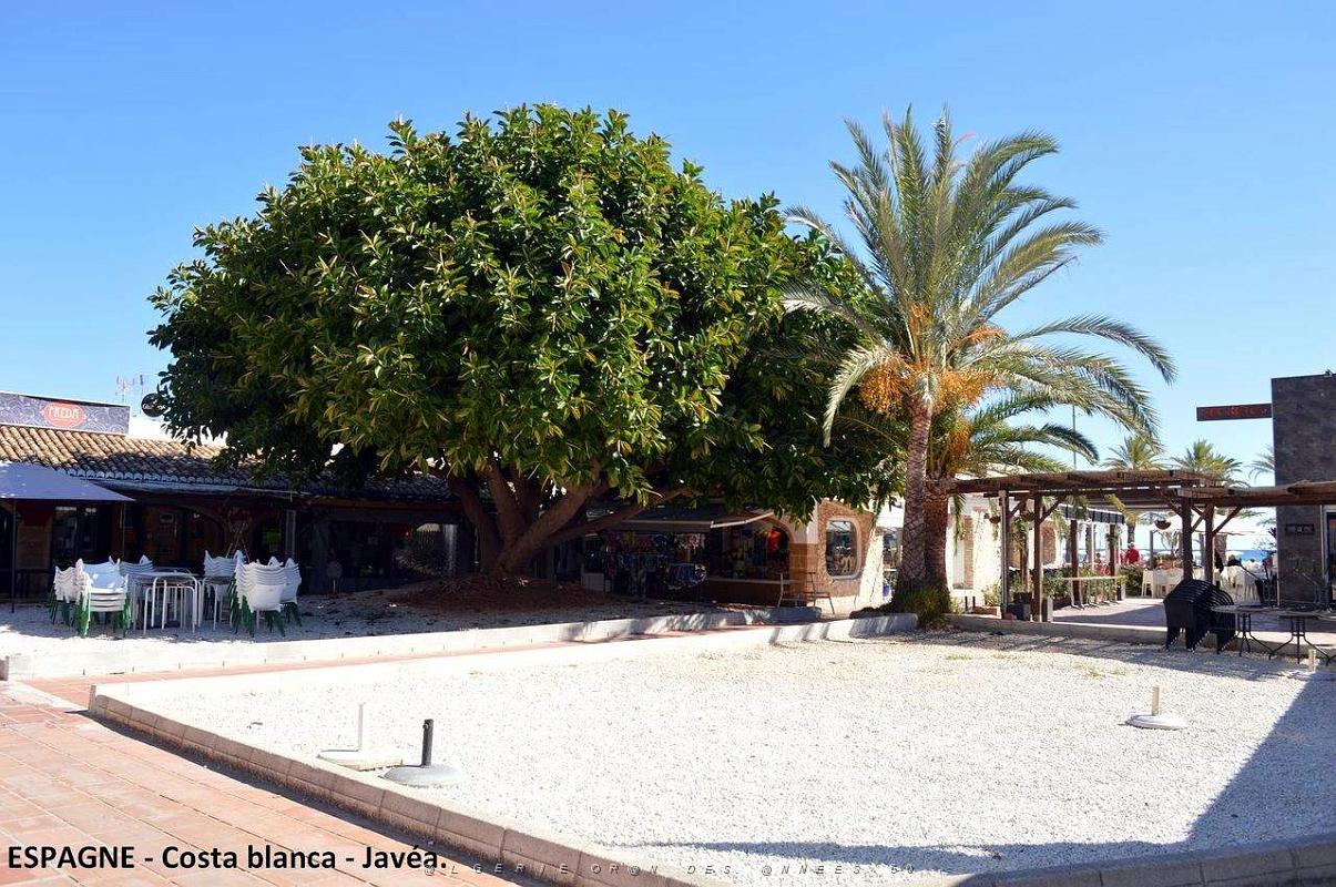 117- Javea.JPG